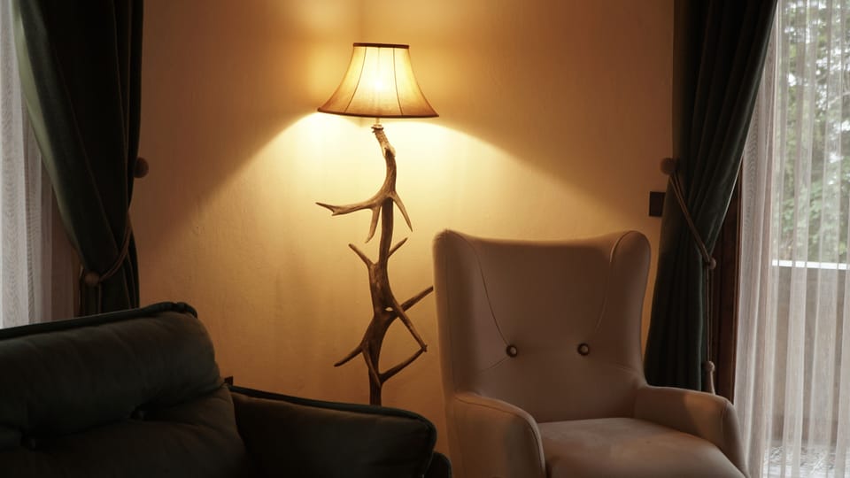Vip Villa S | Living area | 50-inch LCD TV with satellite channels, TV, heated floors