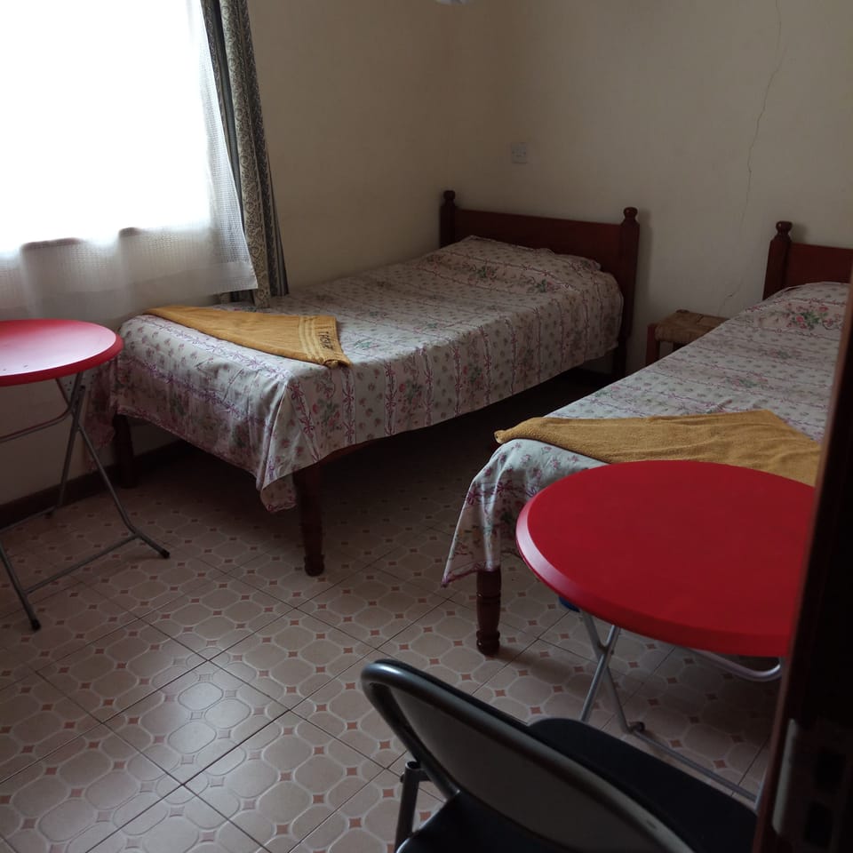 Economy Room | Iron/ironing board (on request), WiFi (free), bed sheets