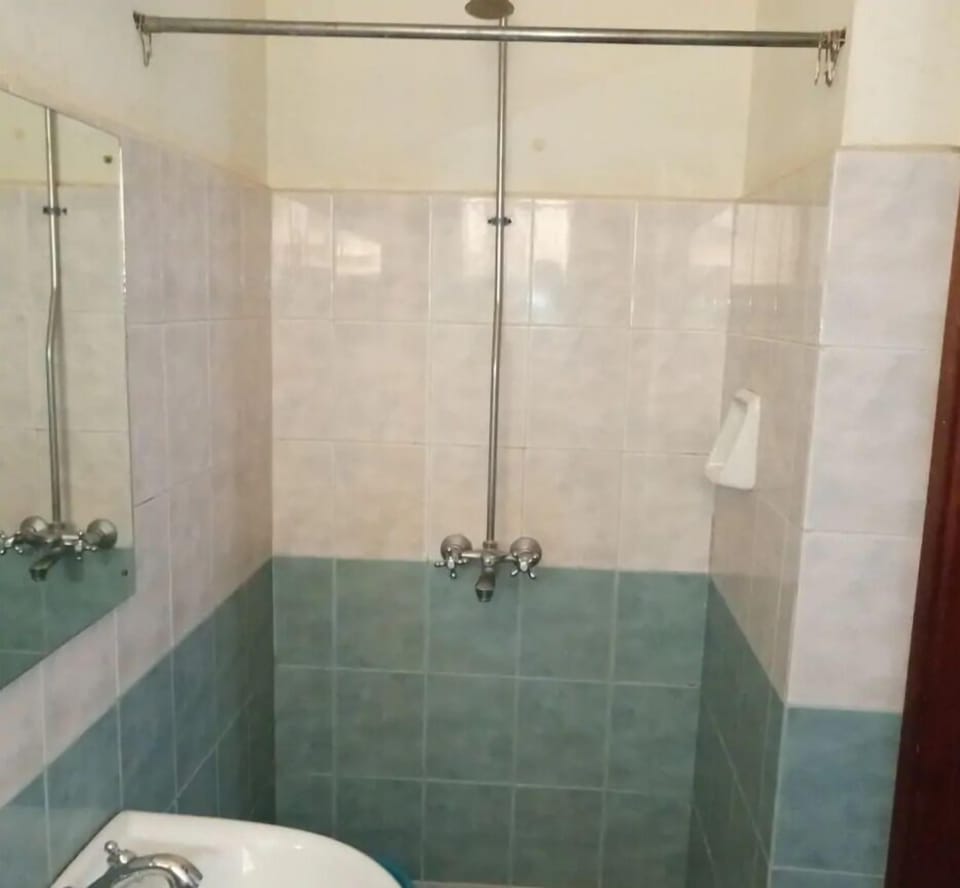 Economy Room | Bathroom | Shower, towels, soap, toilet paper