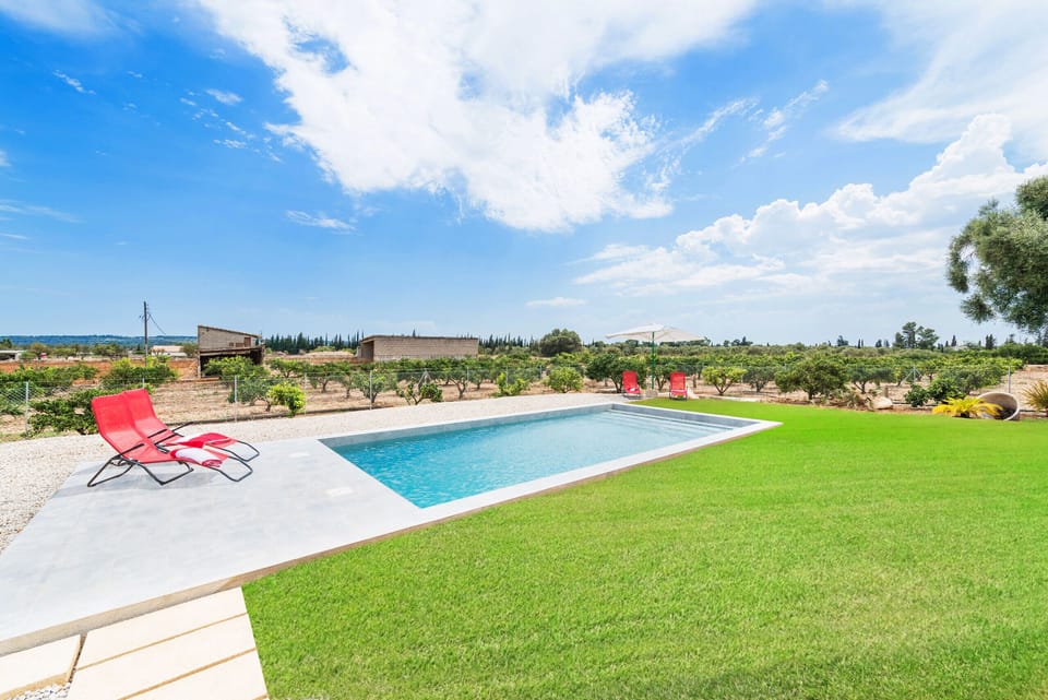 Pool and exterior of the house