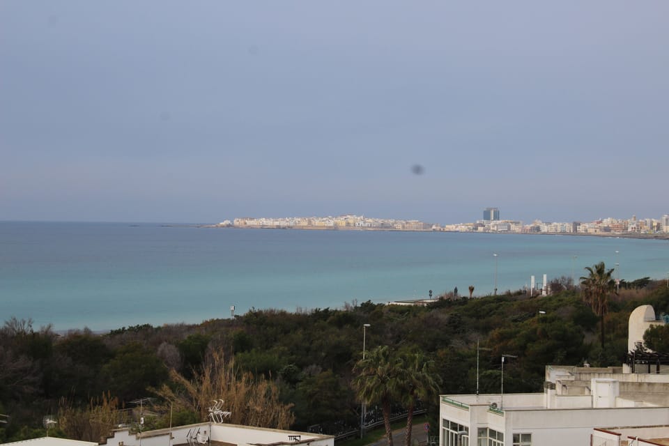 Beach/ocean view