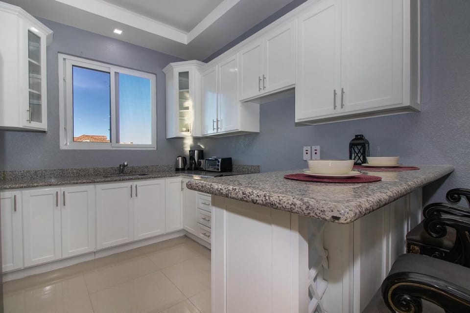 Luxury Apartment | Private kitchen | Fridge, microwave, oven, stovetop