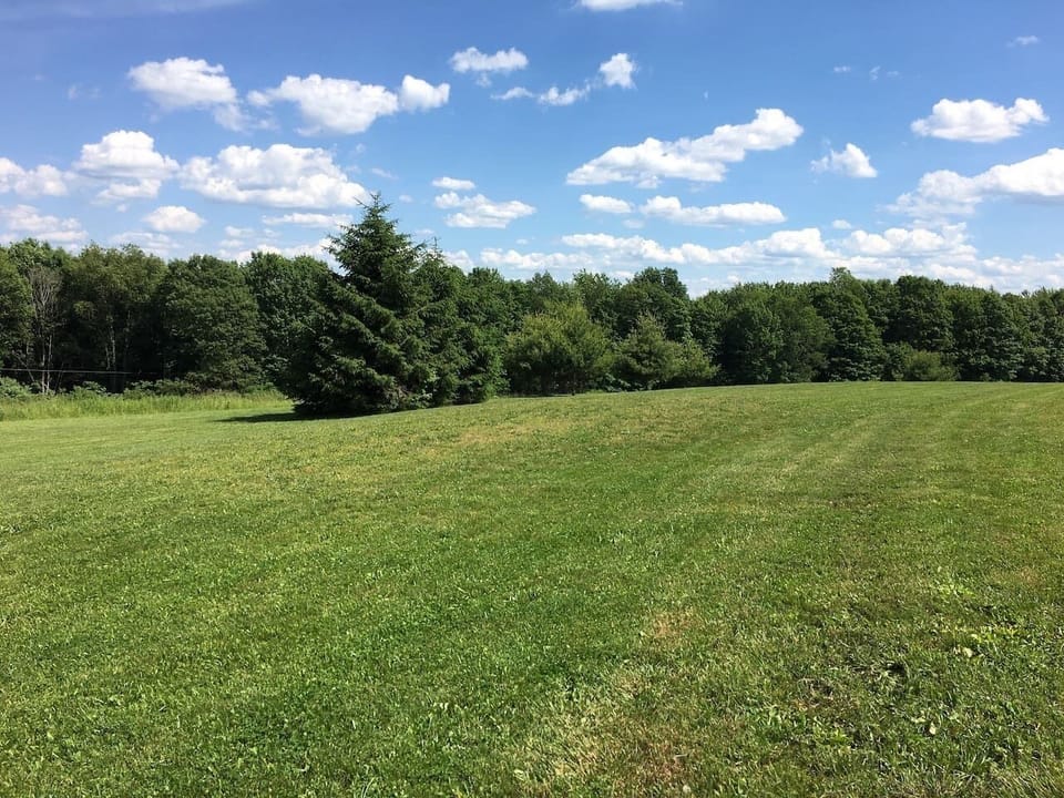 Large yard shared with Double Play Cabins