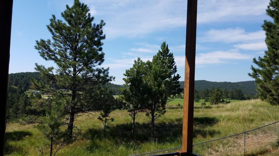 Deck view