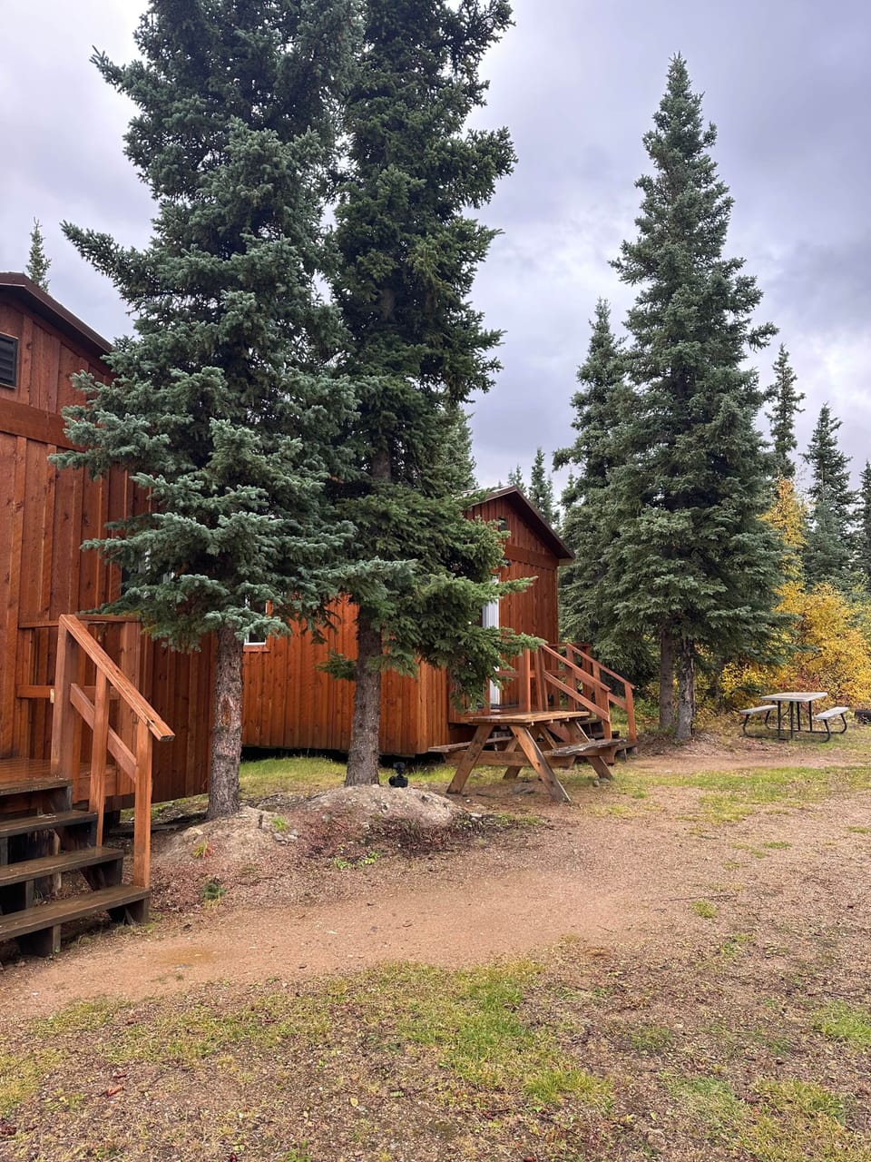 Only two cabins on property