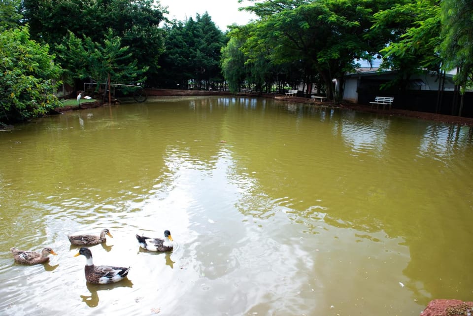 Lake