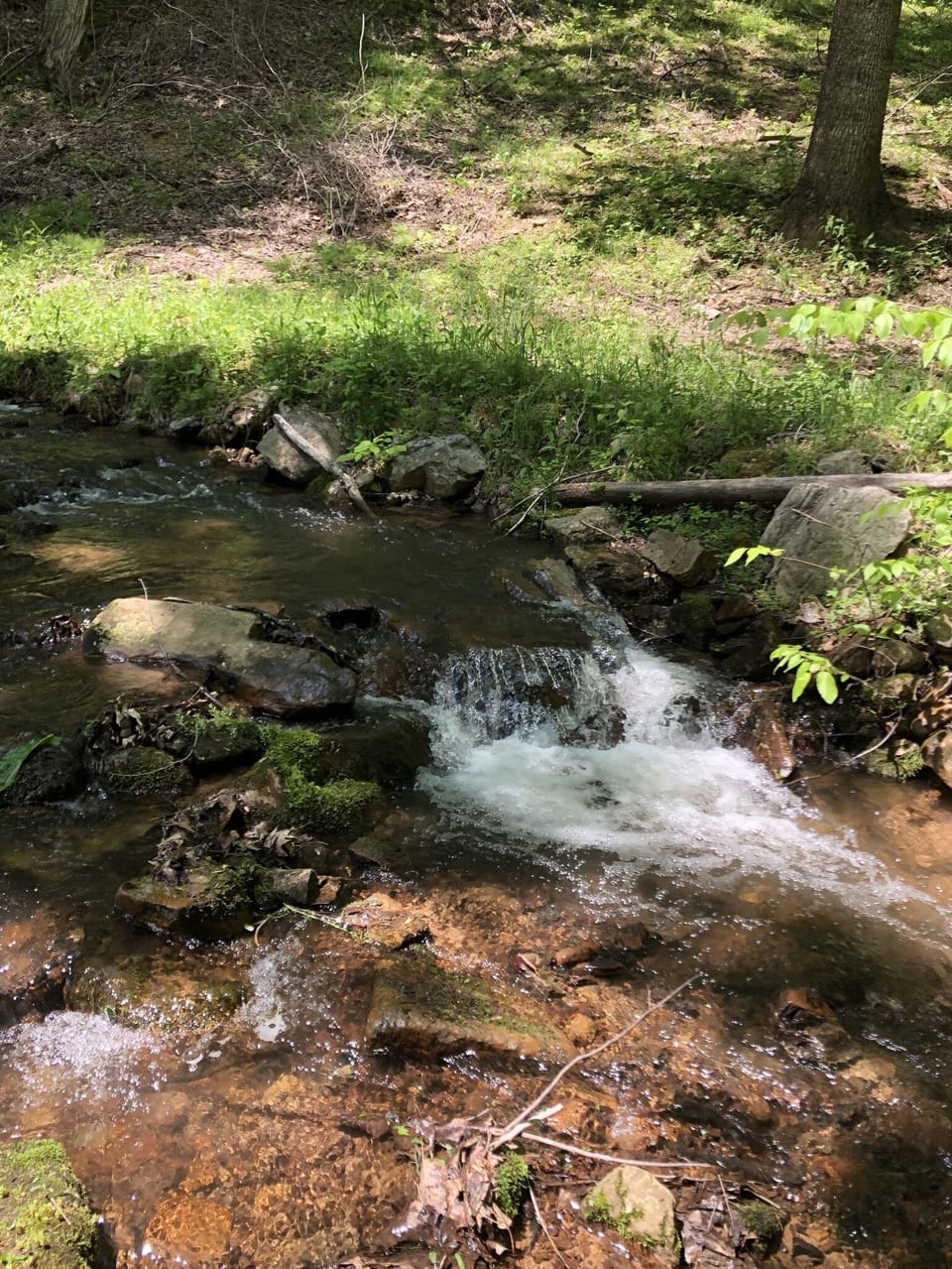 Creek next to cabin