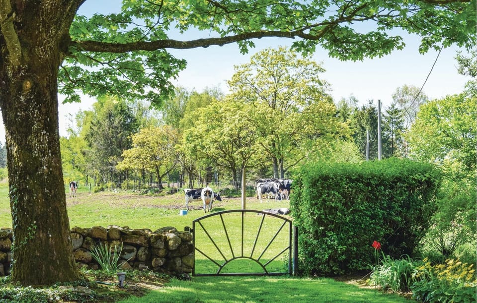 area