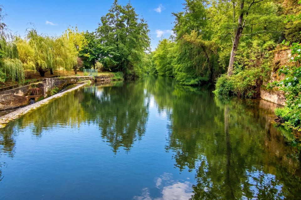 Lake view