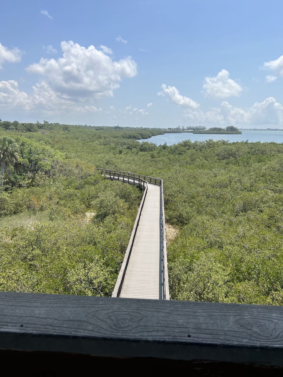 Boardwalk of the intercostal at near by park. Perfect with your morning coffee