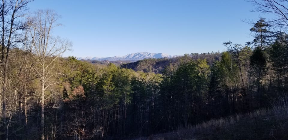 View of Mt. LeConte 2021