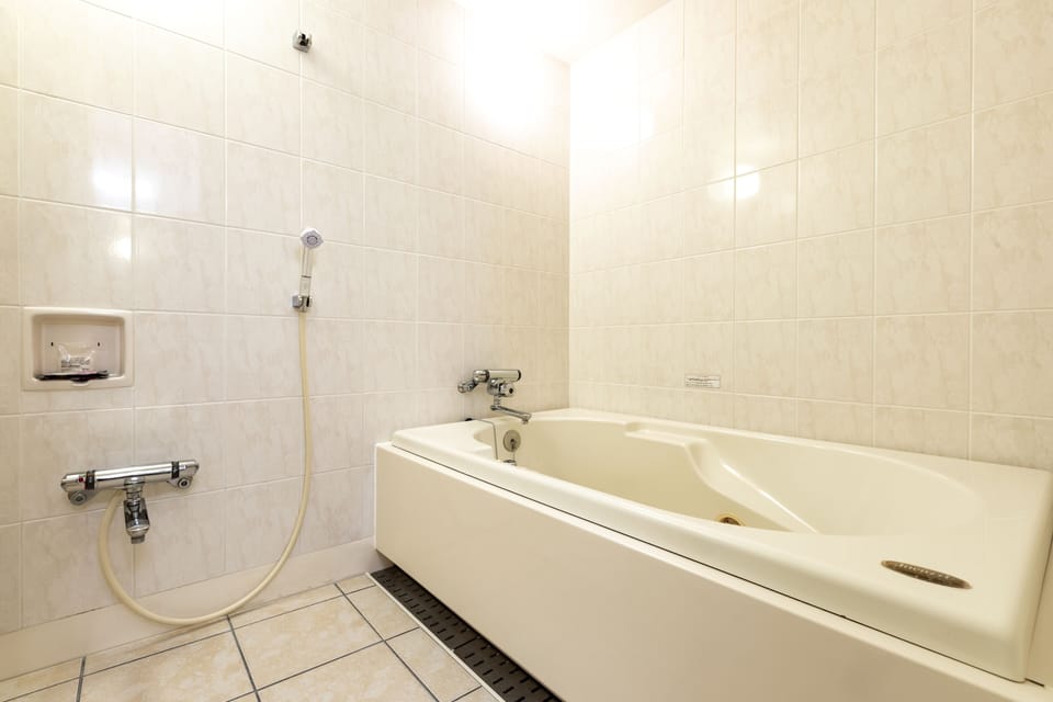 Combined shower/tub, hair dryer, slippers, electronic bidet