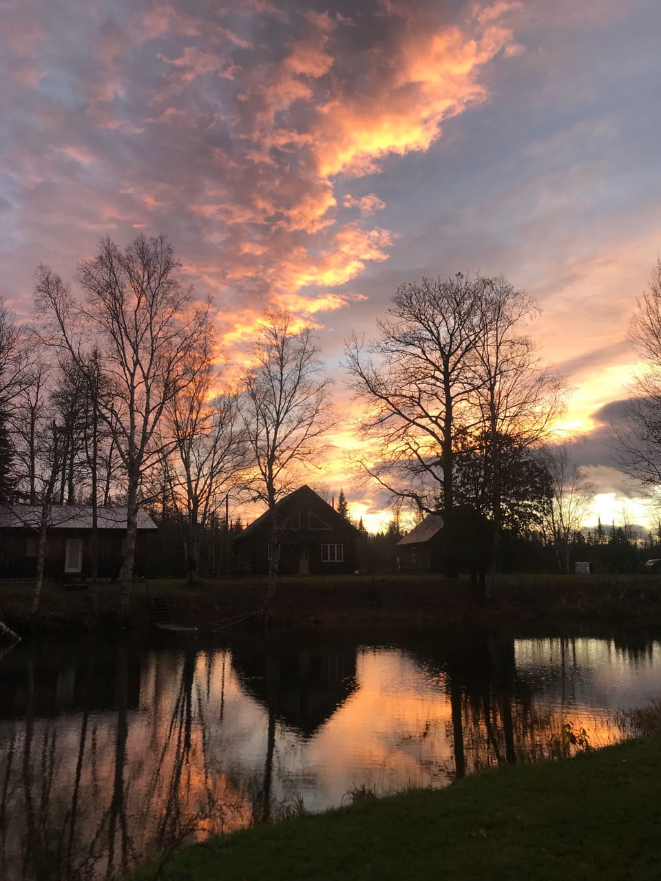 Autumn sunset from the back of the house. 