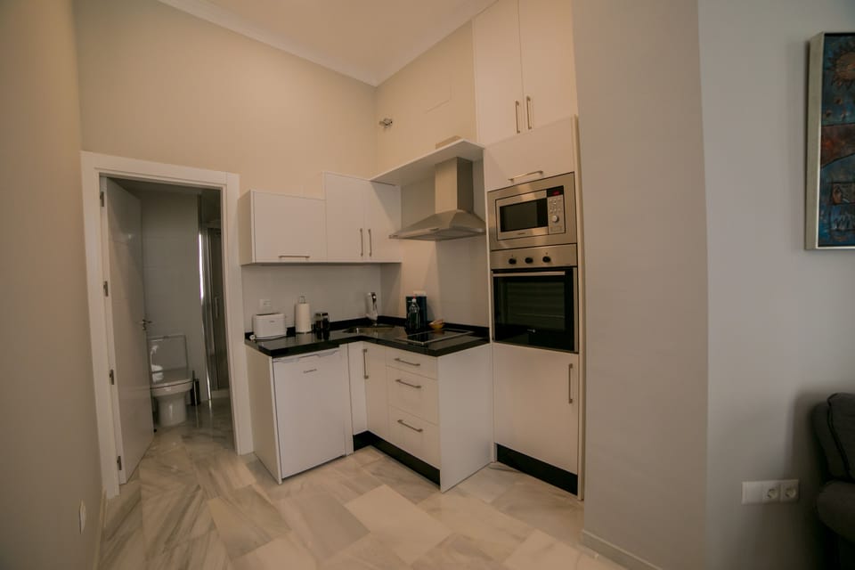 Apartment, 1 Bedroom | Private kitchen | Stovetop, cleaning supplies