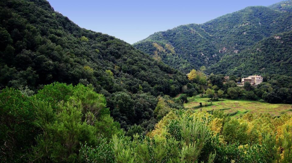 Mas Els Terrats Country House in Selva