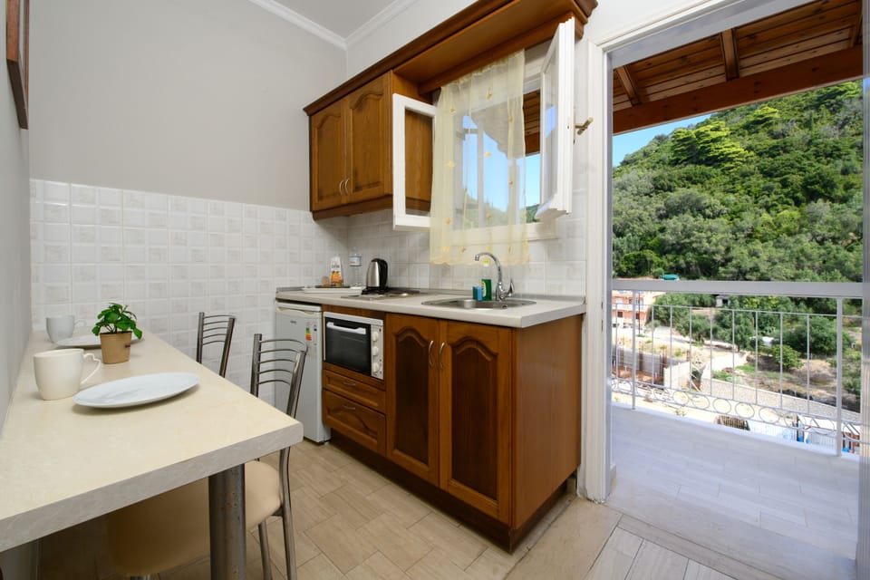 Traditional Apartment, 1 Bedroom (for 2) | Private kitchen | Fridge, microwave, coffee/tea maker, electric kettle