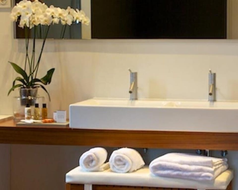 Suite (Suite XL) | Bathroom | Shower, free toiletries, hair dryer, towels