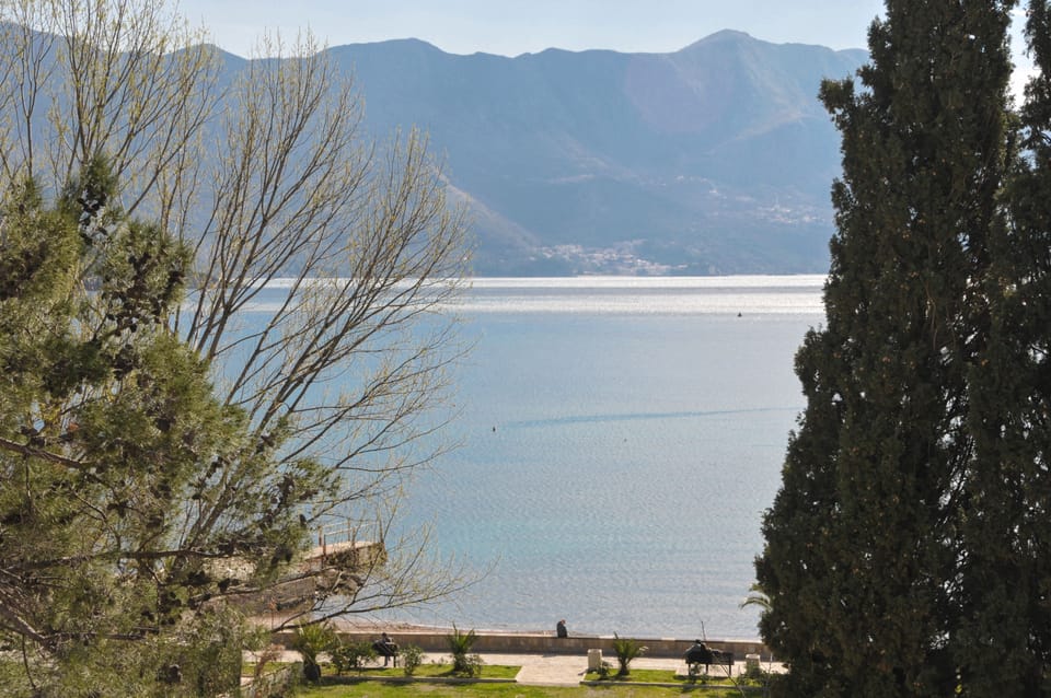 Double Room Single Use | View from room