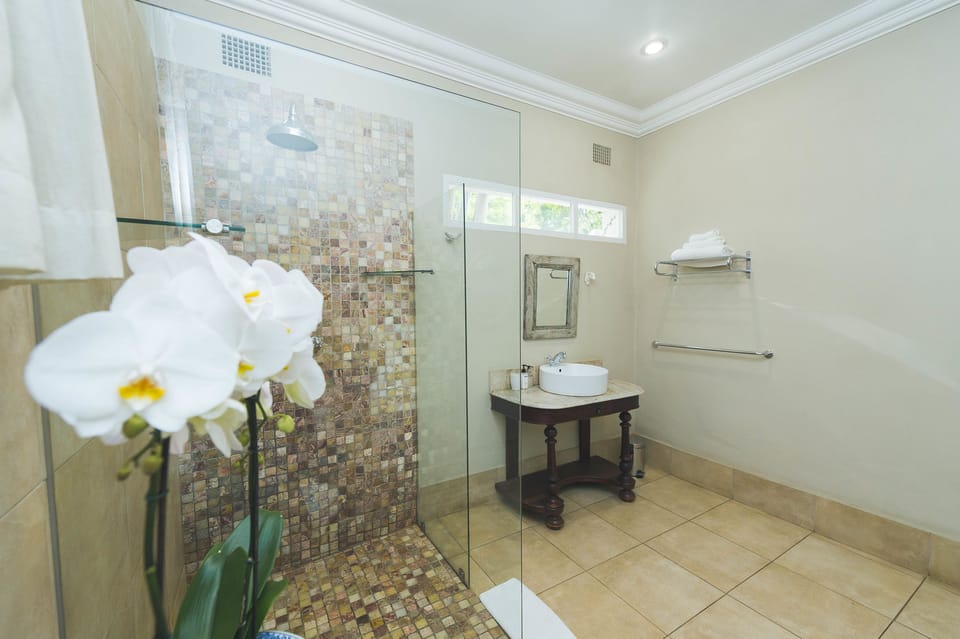 Luxury Room | Bathroom sink