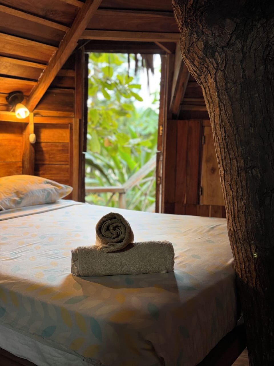 Standard Tree House | In-room safe, iron/ironing board (on request), WiFi (free), bed sheets
