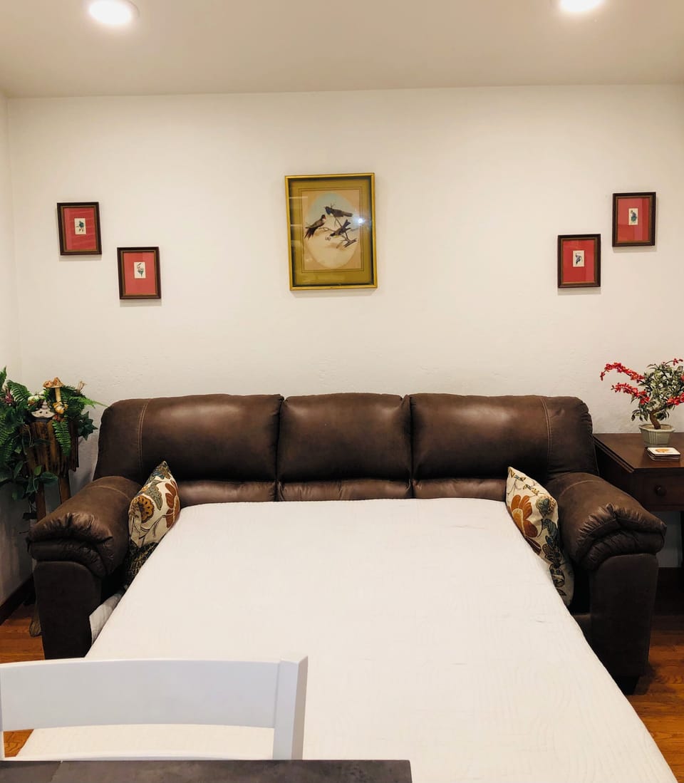 New Pull-Out Sofa Bed. All Bedding and pillows provided.
