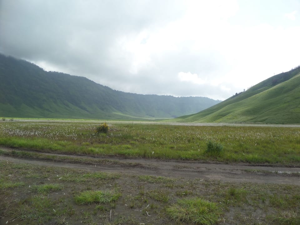 Ecotours