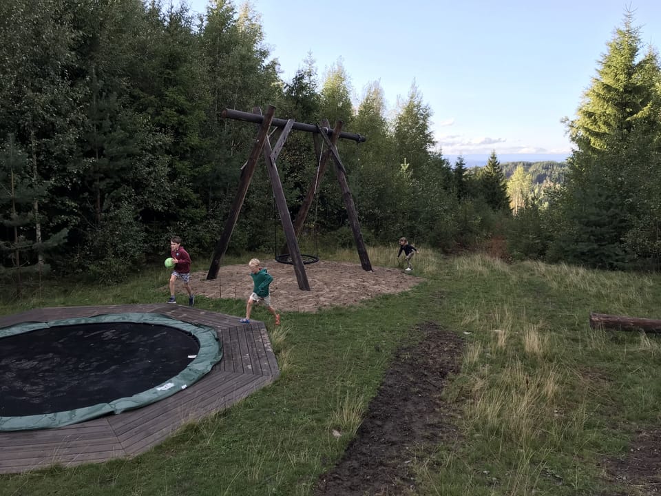 Our local playing ground with goats, sheep, cows and hens