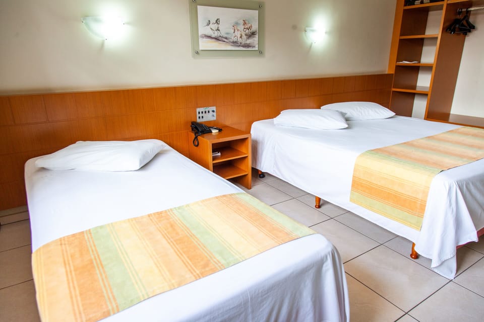 Luxury Double or Twin Room | Minibar, blackout drapes, free WiFi, bed sheets