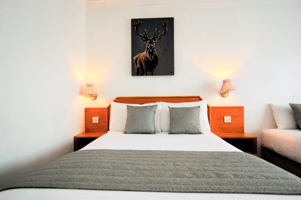 Desk, laptop workspace, free cribs/infant beds, free WiFi