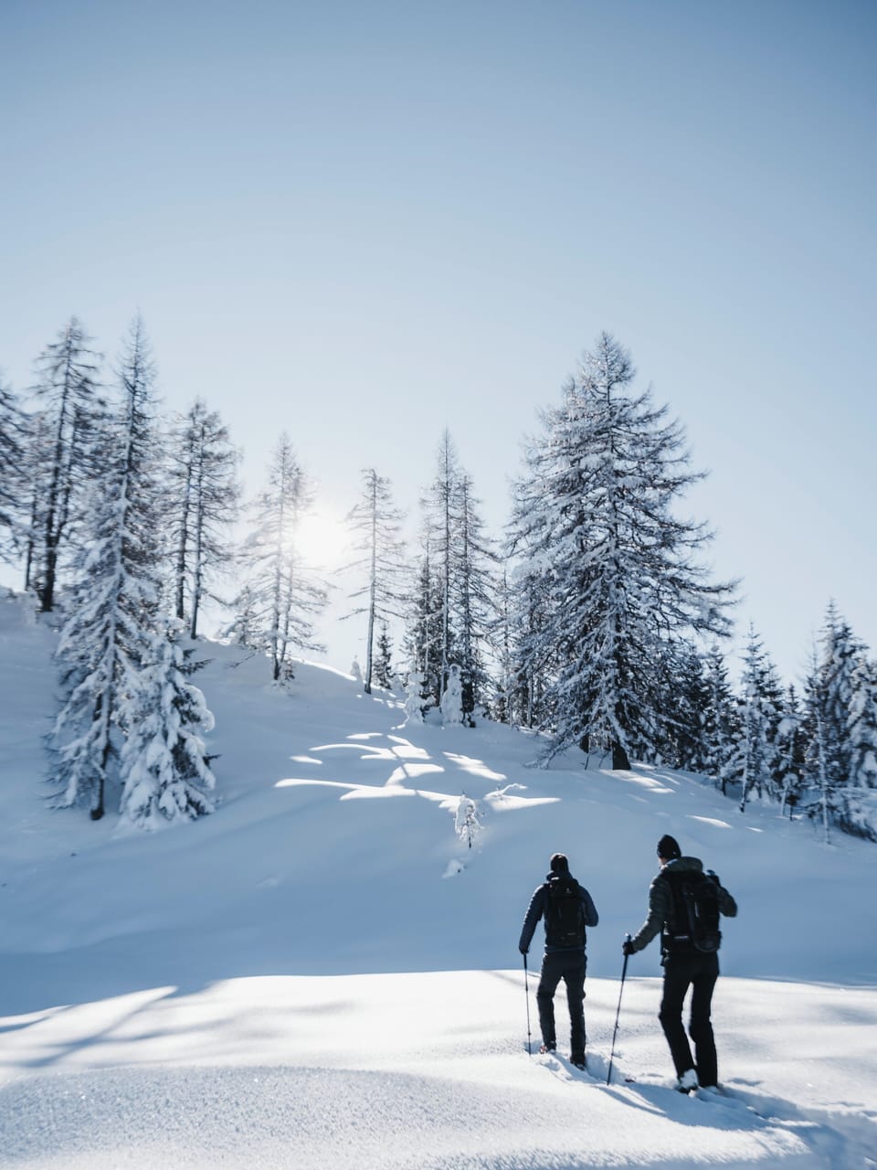Snowshoeing
