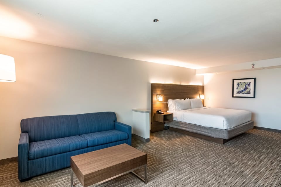 Suite, 1 King Bed with Sofa bed | In-room safe, desk, laptop workspace, blackout drapes