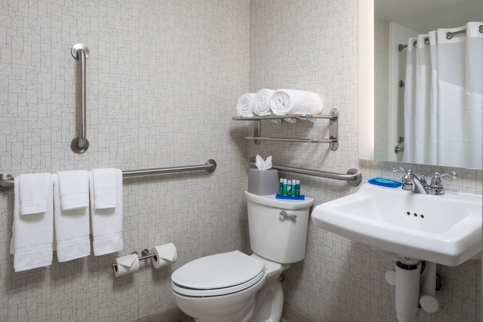 Standard Room, 1 Queen Bed, Accessible, Non Smoking (Communications/Mobility Accessible) | Premium bedding, pillowtop beds, in-room safe, desk
