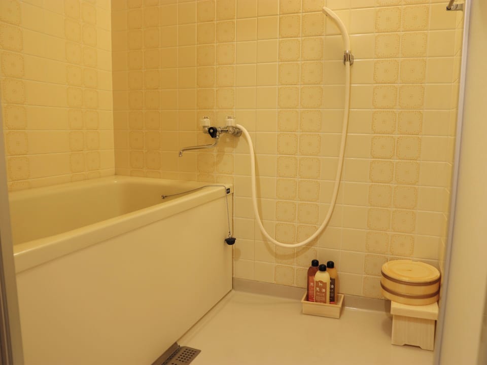 Combined shower/tub, free toiletries, hair dryer, slippers