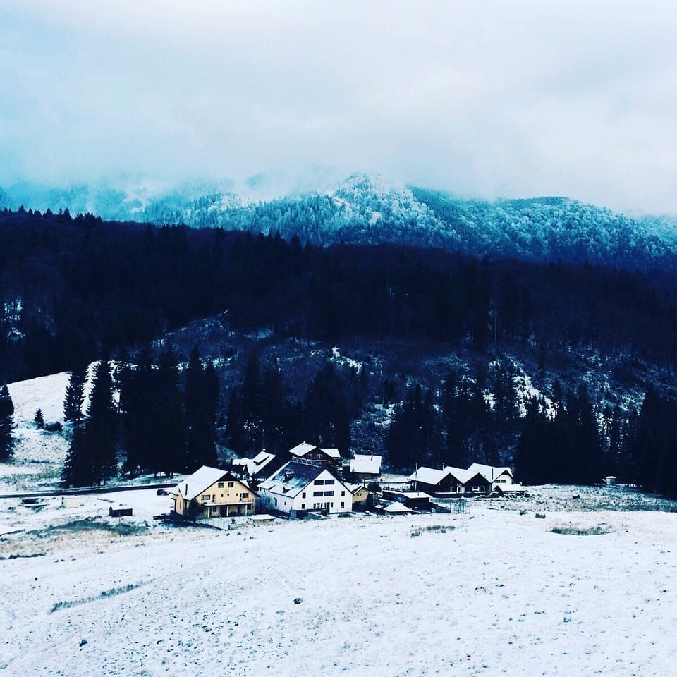 Pensiunea Poiana Cristian Bed and Breakfast in Brasov