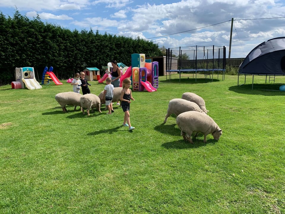 Children's area