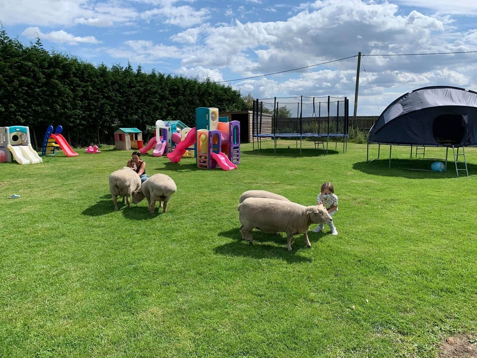 Children's area