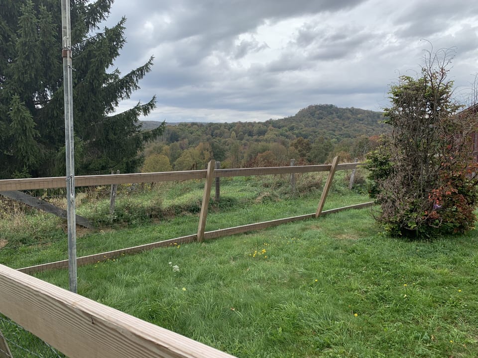 One of the views out the guesthouse window.