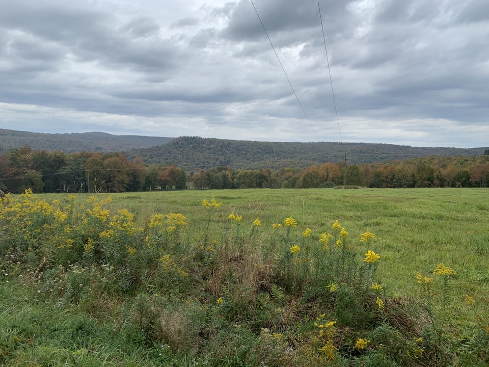 Fall colors are awesome.