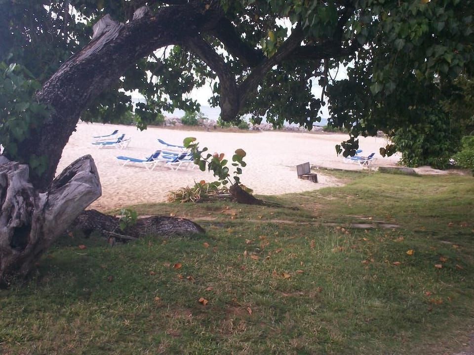  Family Beach Area 
