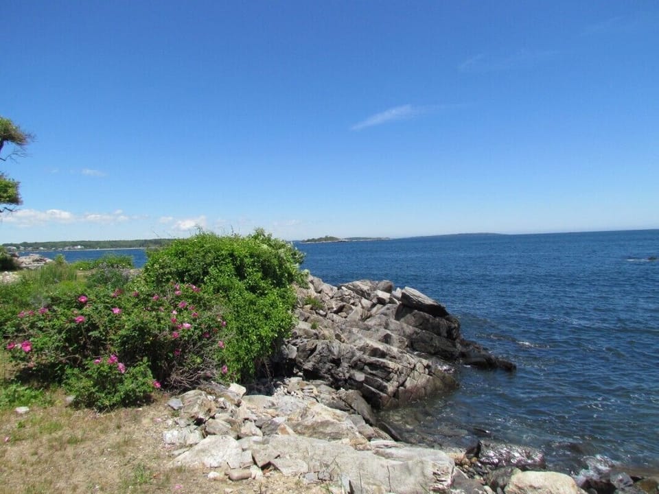 view from front of property