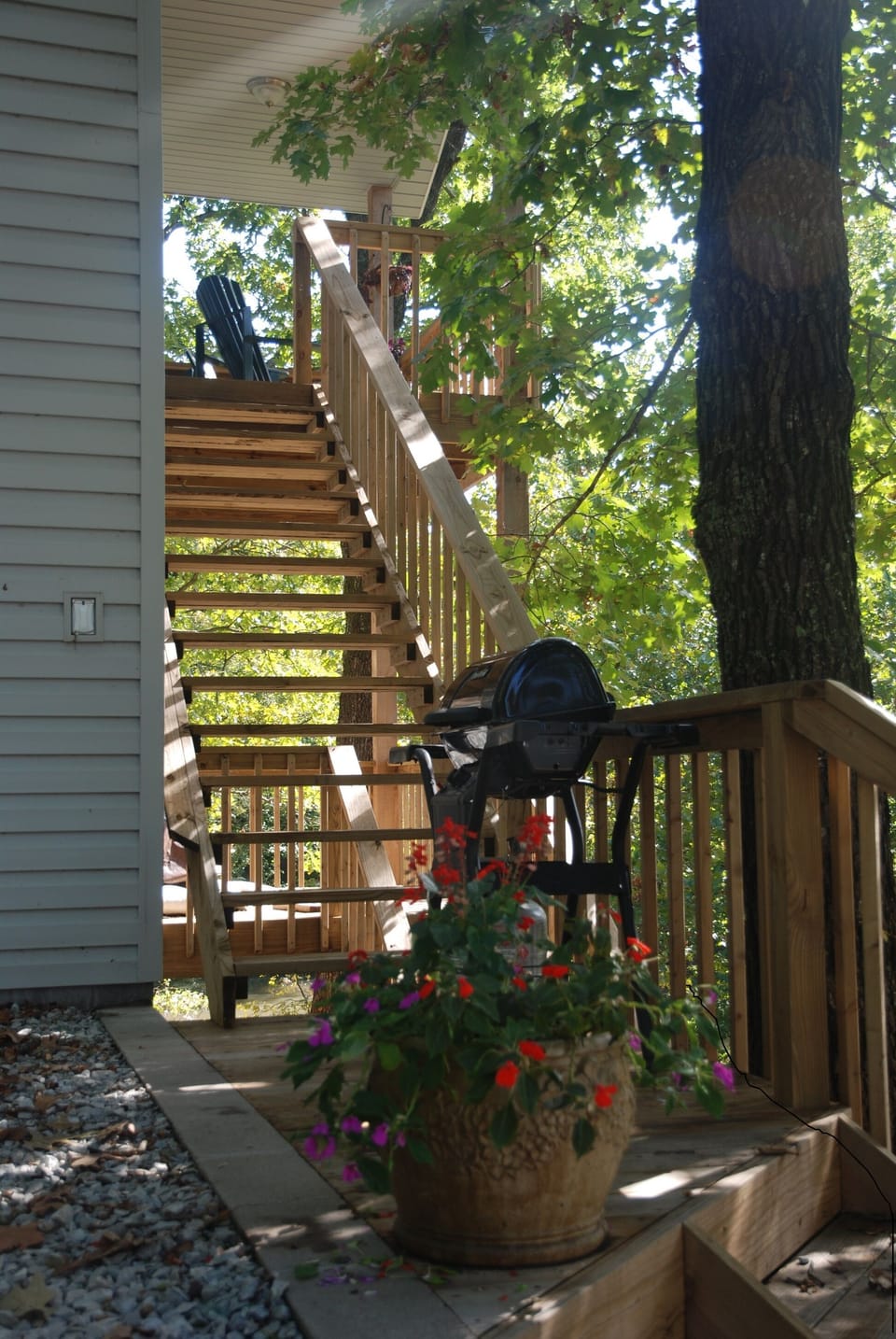 Entrance to Treehouse