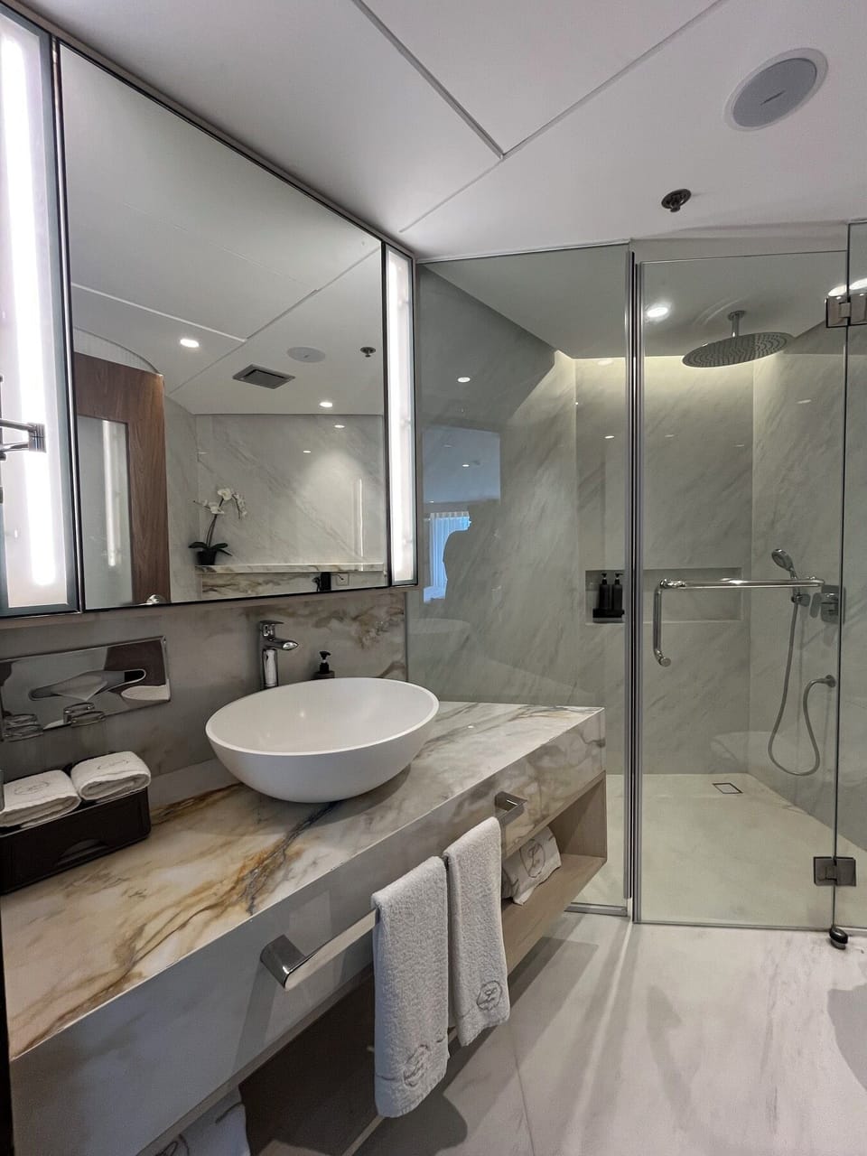 Panoramic suite Room | Bathroom | Shower, free toiletries, hair dryer, bathrobes