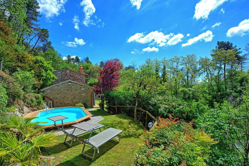 Garden, Pool