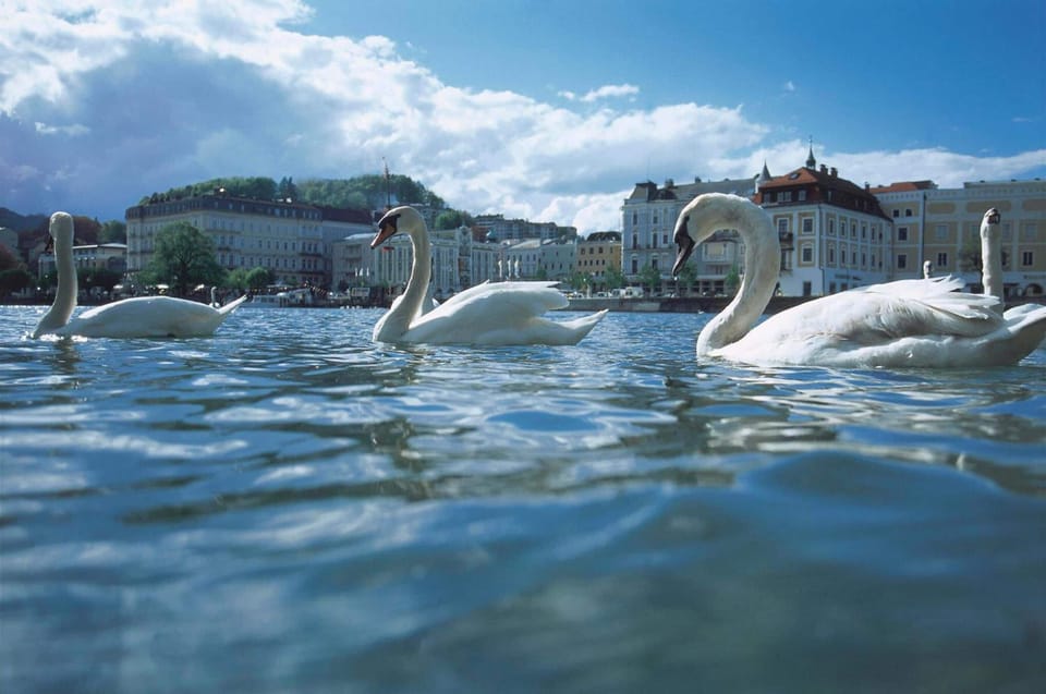 Lake