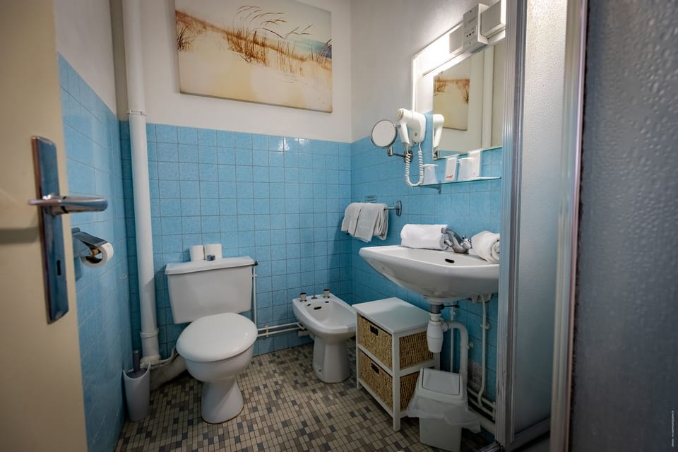 Combined shower/tub, free toiletries, hair dryer, towels