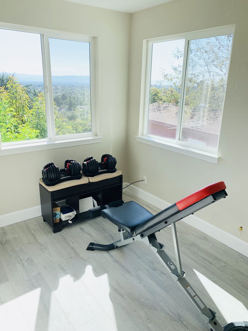 The small gym that we have with Bowflex weight set and bench