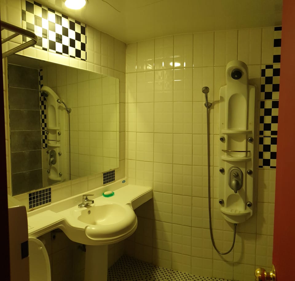 Deluxe Room | Bathroom | Shower, free toiletries, hair dryer, towels