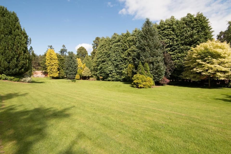 Family House, 4 Bedrooms | Garden view