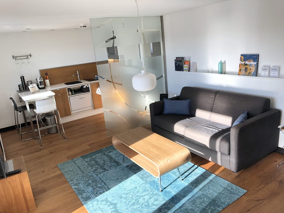 Comfort-Apartment (on top of the rate cleaning Fee 60 EUR) | Living room | Flat-screen TV, iPod dock