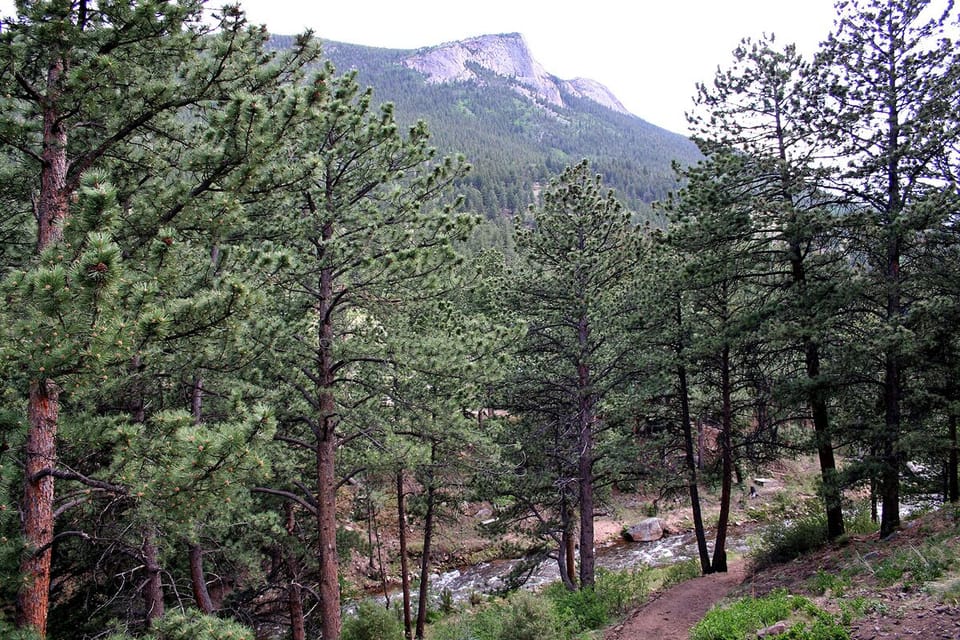Mountain View from Deck
